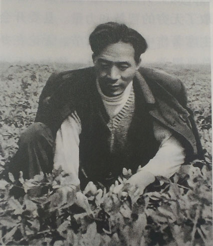 ��ԣ»���ֻ����ʺ���������ֲ����˴����ƹ㡣�������ڻ����ذβݡ�